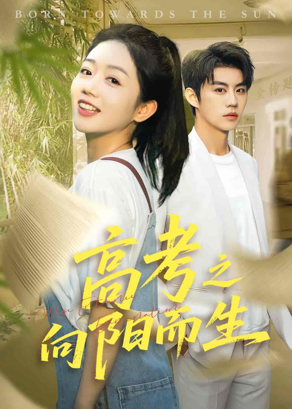 短剧《高考之向阳而生》 高清短剧全集免费看，完整版在线随心观看无限制