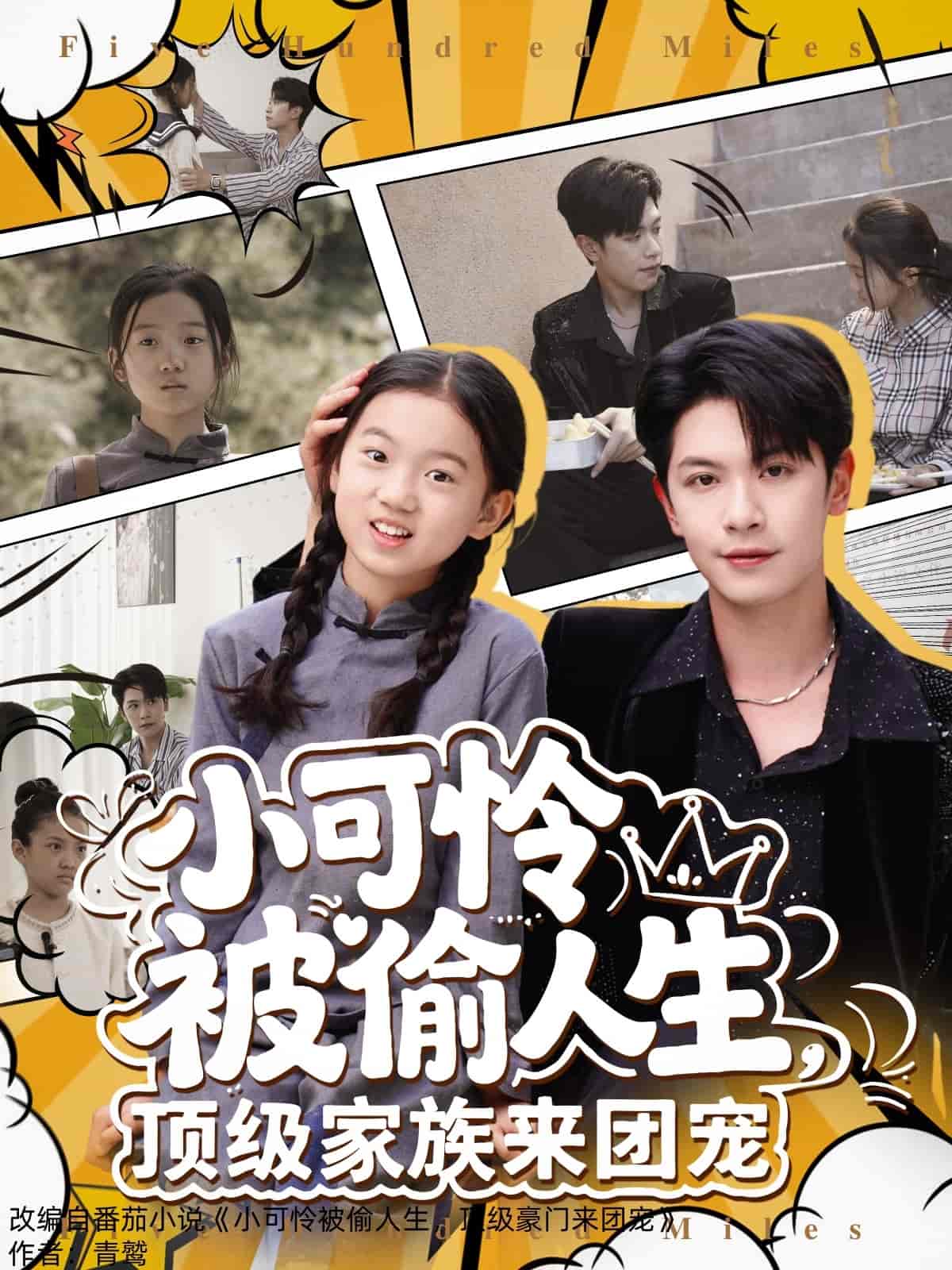 短剧《小可怜被偷人生，顶级家族来团宠》 短剧全集在线，免费高清观看，大结局震撼来袭！