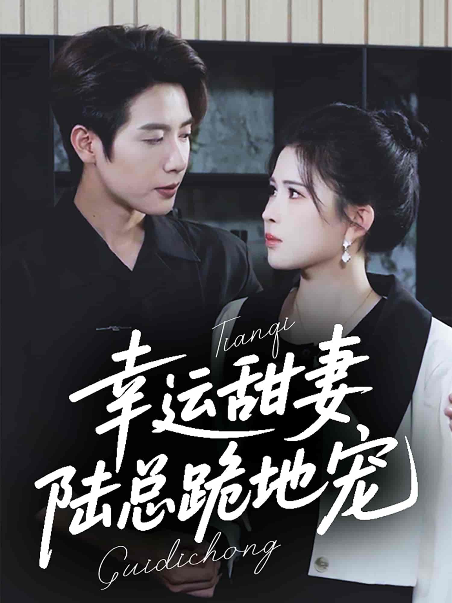 短剧《幸运甜妻，陆总跪地宠》 高清短剧全集在线免费，完整版无障碍观看