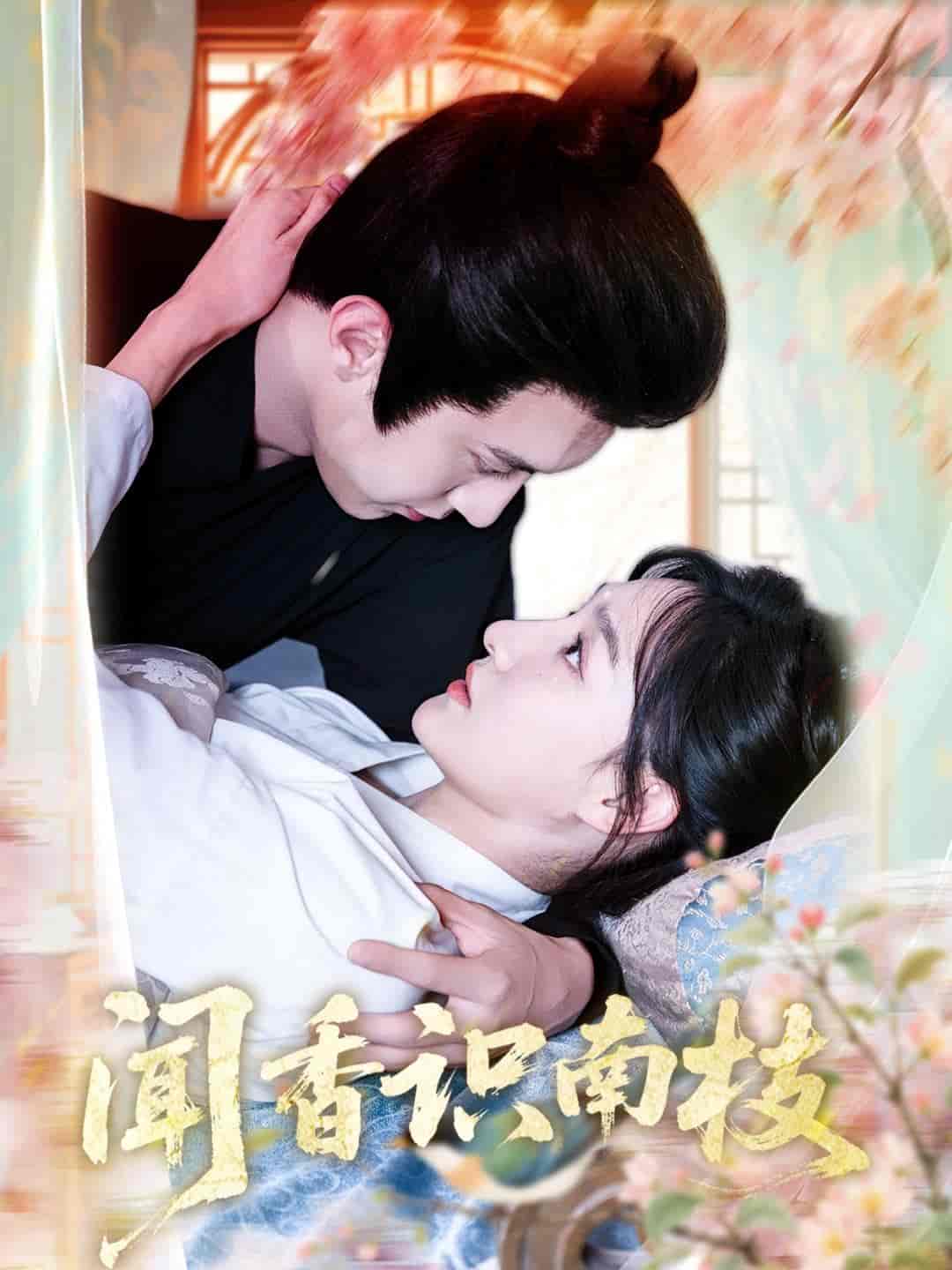 短剧《闻香识南枝》 短剧全集免费看，高清在线播放，大结局已完结！