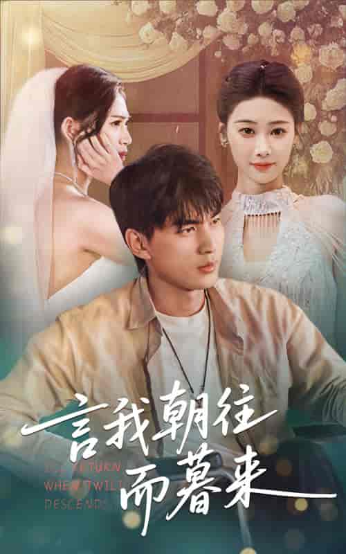 短剧《言我朝往而暮来》 短剧全集免费看，高清在线播放，大结局震撼揭晓