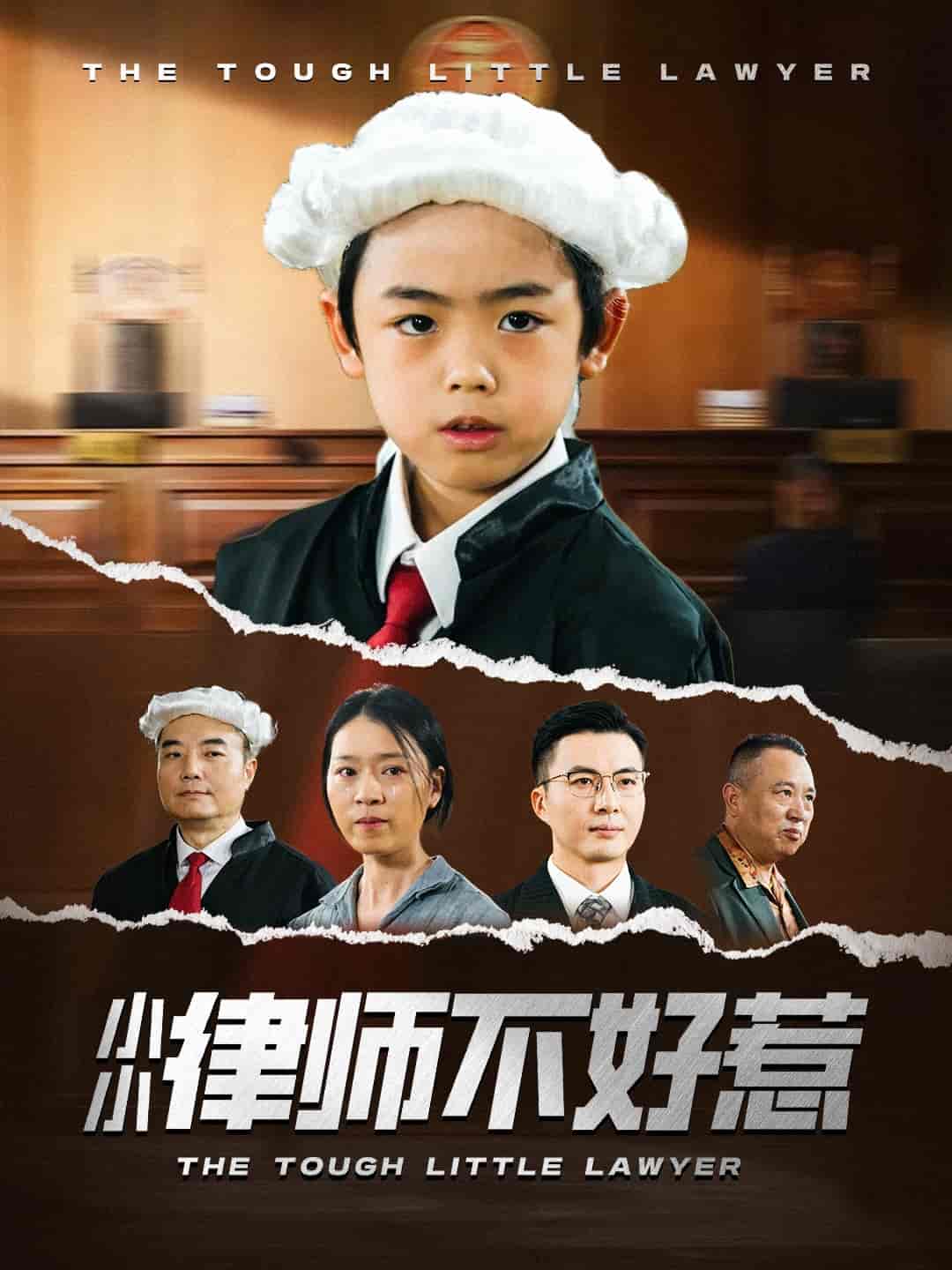 短剧《小小律师不好惹》 高清全集！免费在线观看，大结局已完结