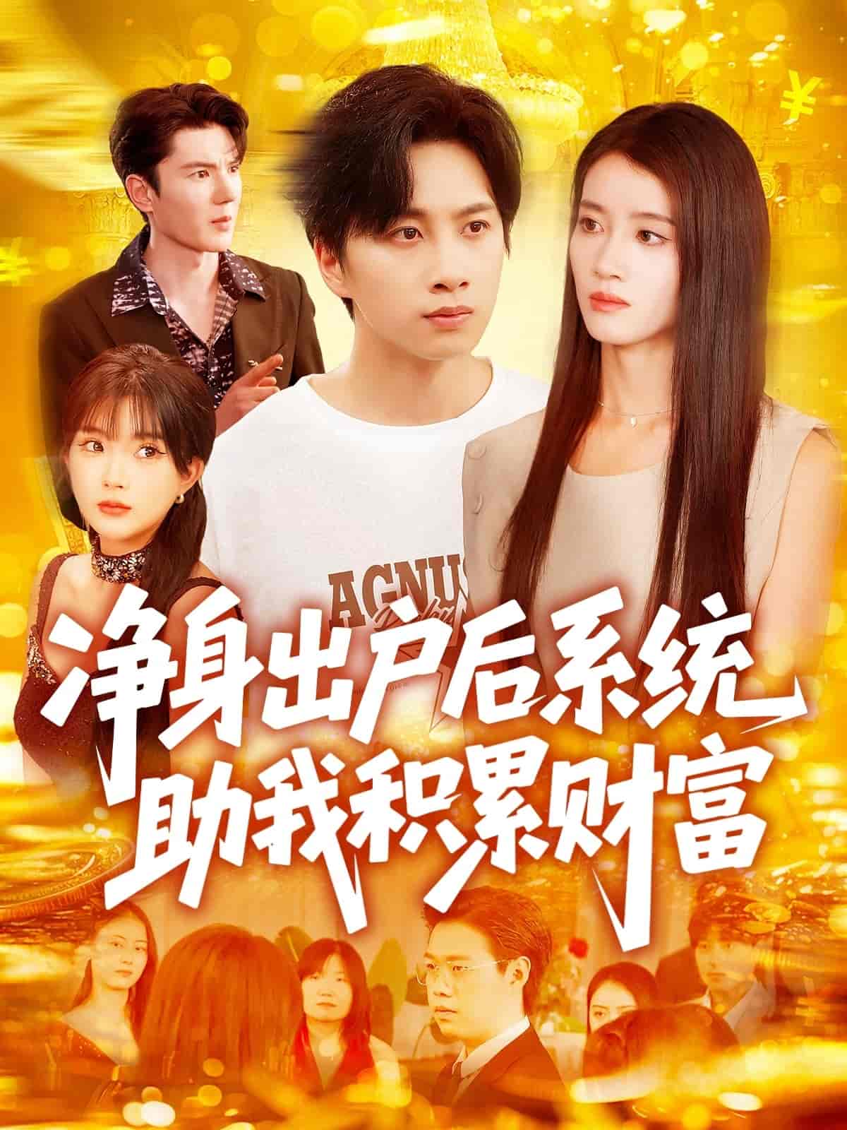 短剧《净身出户后系统助我积累财富》 全集免费在线，高清画质，大结局震撼揭晓