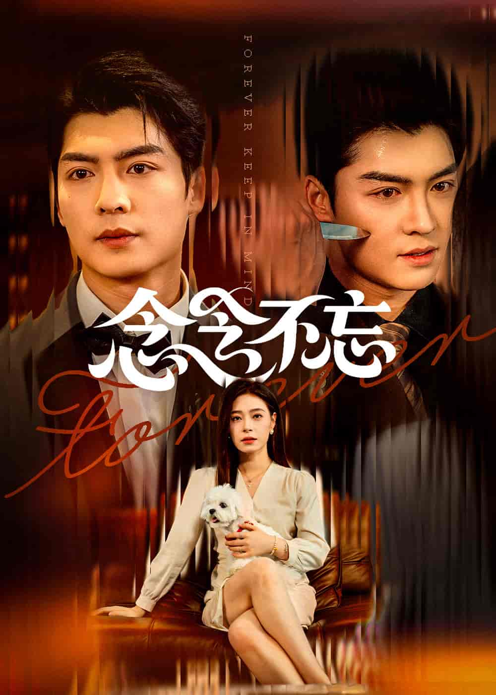 短剧《念念不忘》 免费观看高清全集，完整版大结局已完结！