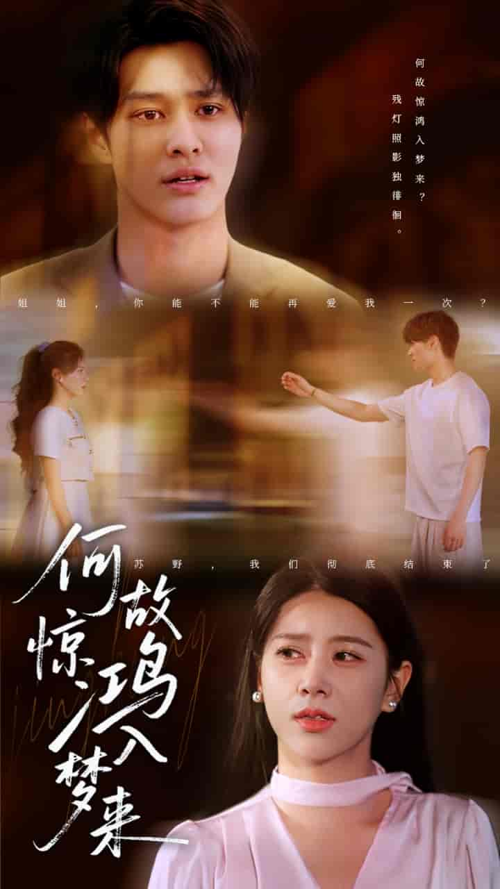 短剧《何故惊鸿入梦来》 免费高清短剧全集，完整版在线无束缚自由欣赏