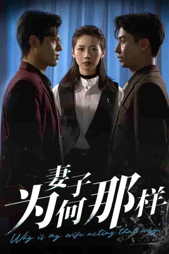 短剧《妻子为何那样》 完整版高清短剧免费，在线全集自由观看