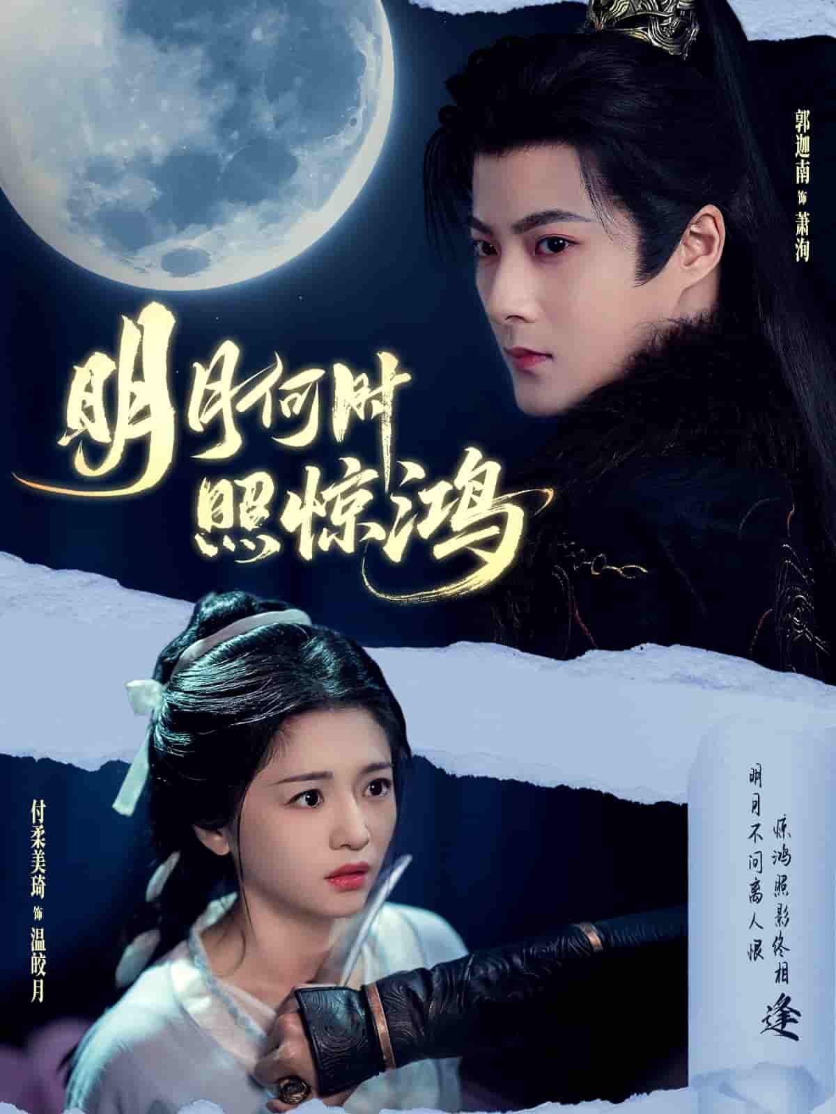 短剧《明月何时照惊鸿》 免费观看高清全集，大结局震撼来袭