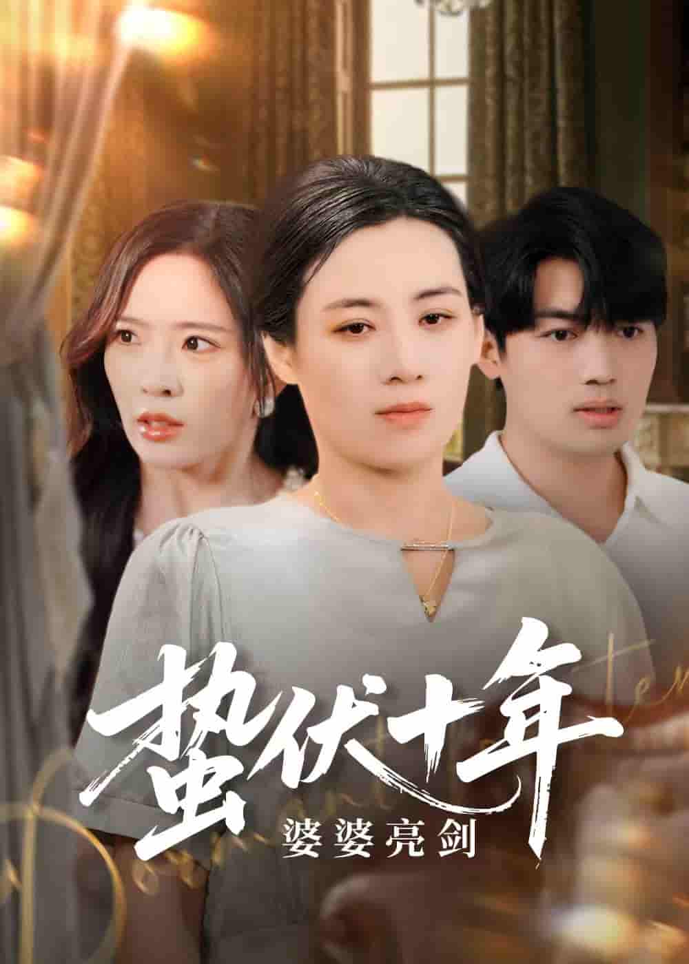 短剧《蛰伏十年婆婆亮剑》 短剧全集免费看，高清在线播放，大结局震撼揭晓