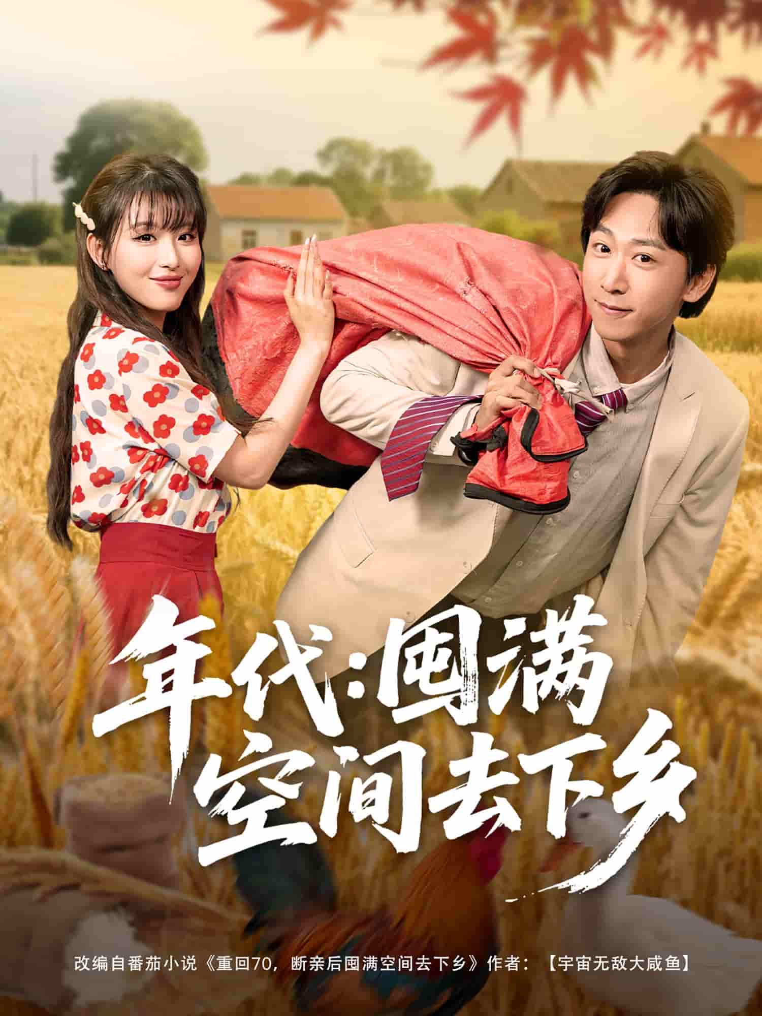 短剧《年代囤满空间去下乡》 免费看高清全集，大结局震撼揭晓