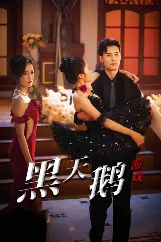 短剧《黑天鹅游戏》 完整版高清短剧免费，在线全集自由观看