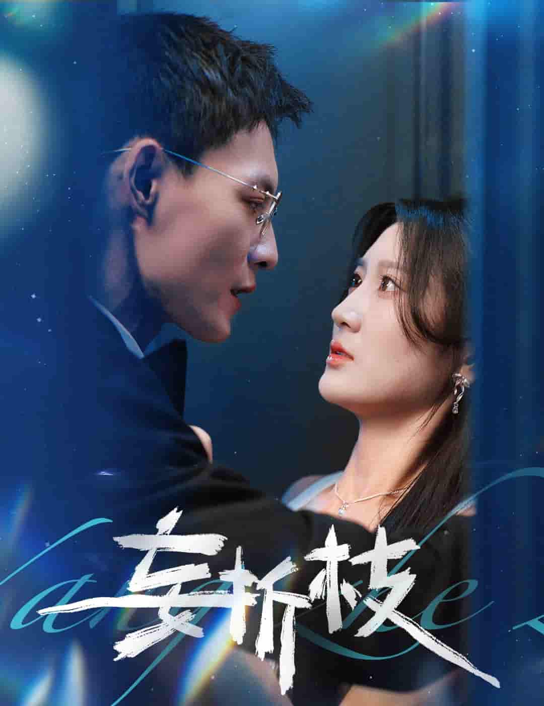 短剧《妄折枝》 全集免费在线，高清画质，大结局已完结