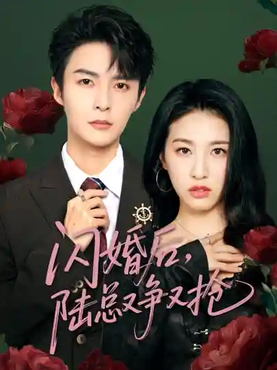 短剧《闪婚后陆总又争又抢》 全集免费在线观看，高清画质，大结局震撼来袭