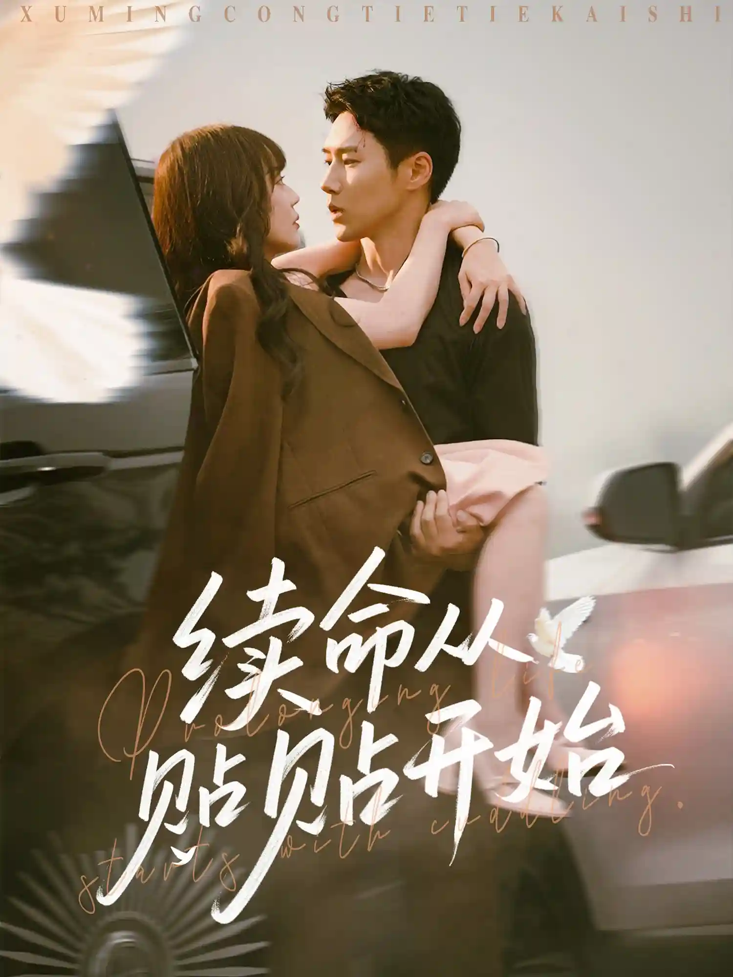 短剧《续命从贴贴开始》 完整版高清短剧免费，在线全集随心观看无束缚