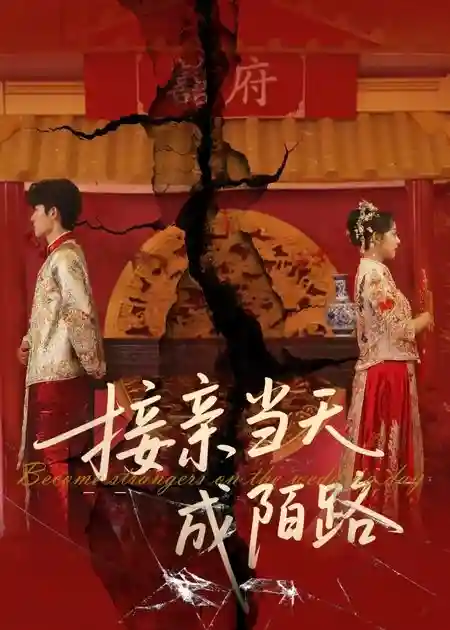 短剧《接亲当天成陌路》 免费观看高清全集，大结局震撼来袭