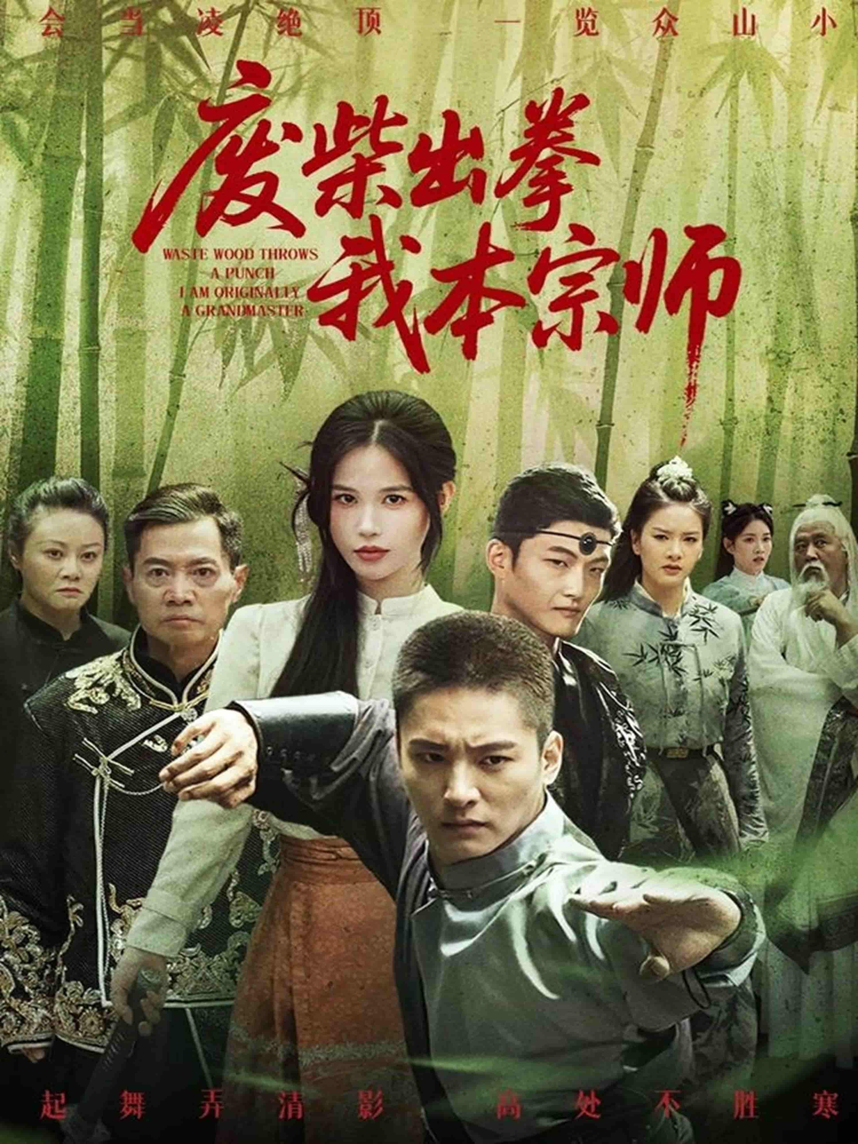 短剧《废柴出拳我本宗师》 高清短剧全集免费看，完整版在线无束缚自由欣赏