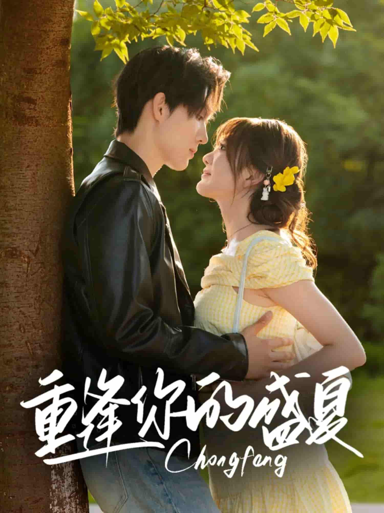 短剧《重逢你的盛夏》 高清短剧全集在线，免费完整版无障碍自由欣赏