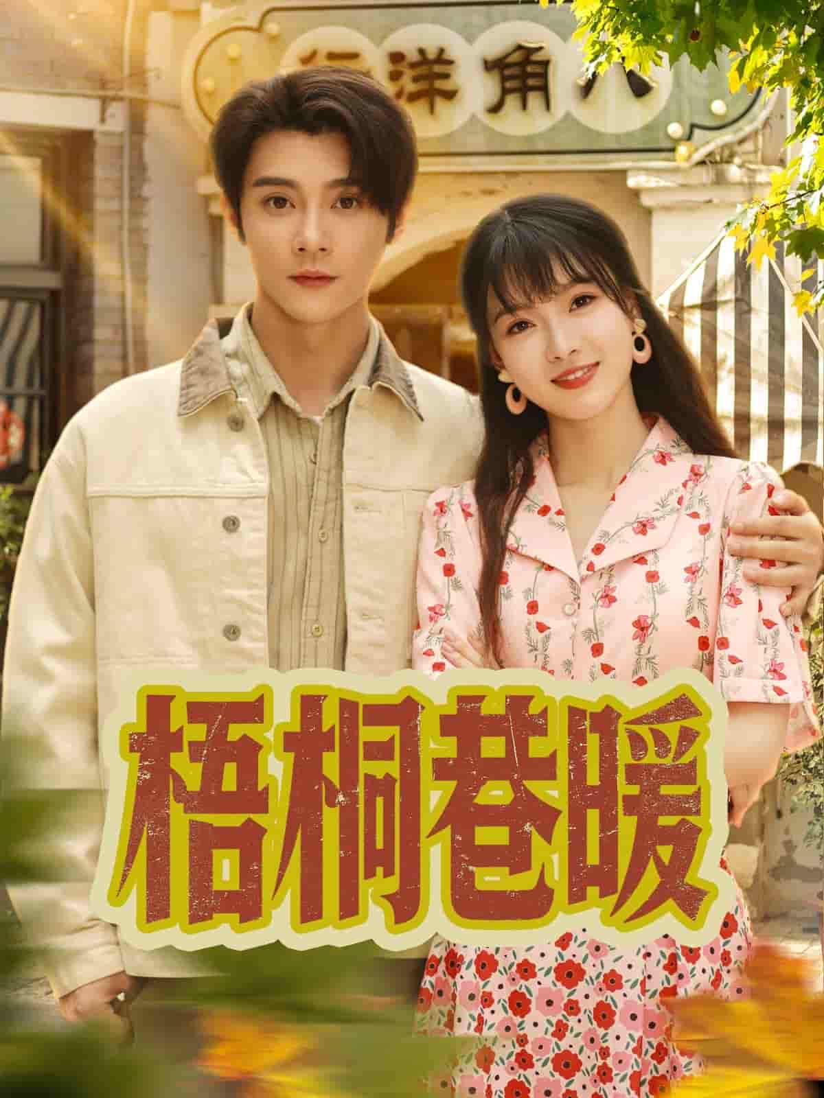 短剧《梧桐巷暖》 全集免费在线，高清画质，大结局揭晓