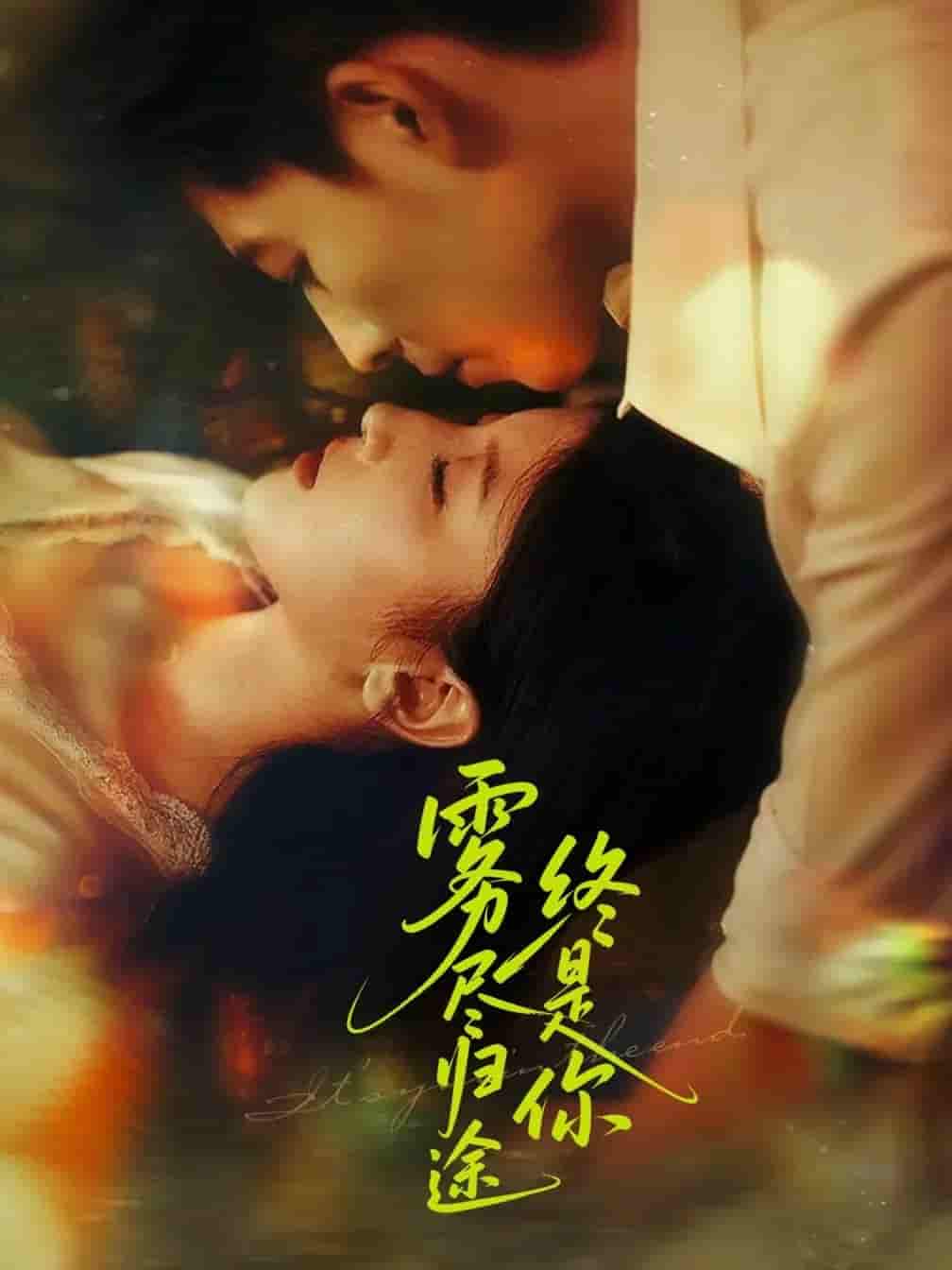 短剧《雾尽归途终是你》 免费看高清全集，大结局震撼来袭