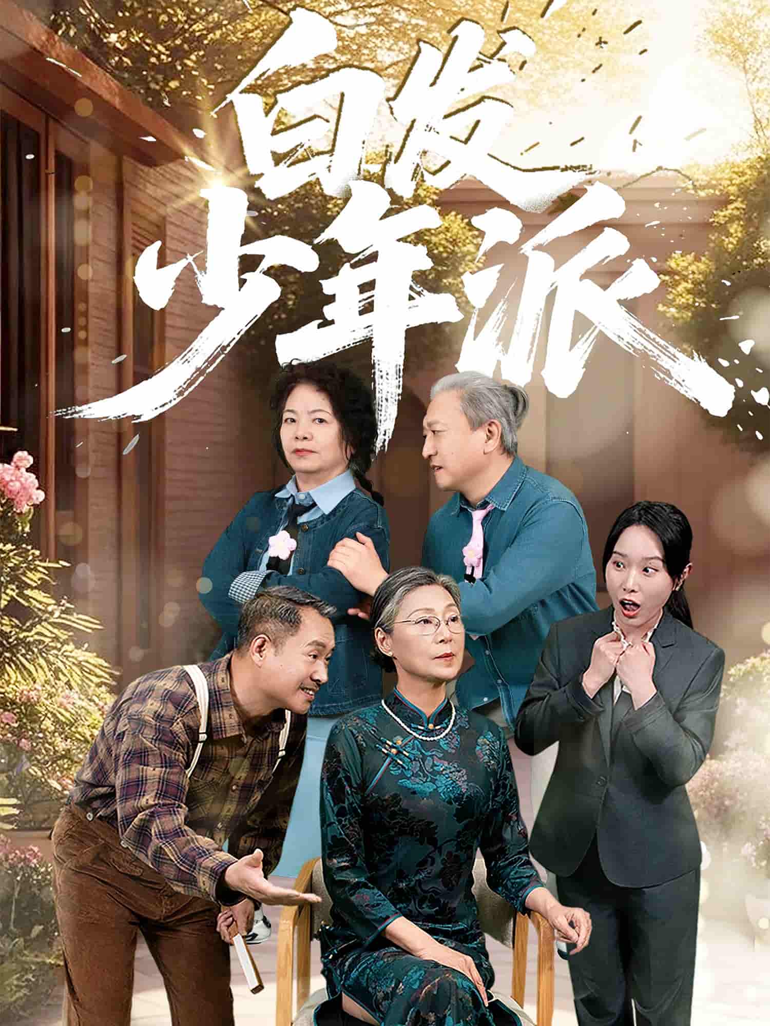 短剧《白发少年派》 免费在线观看高清全集，完整版大结局已完结