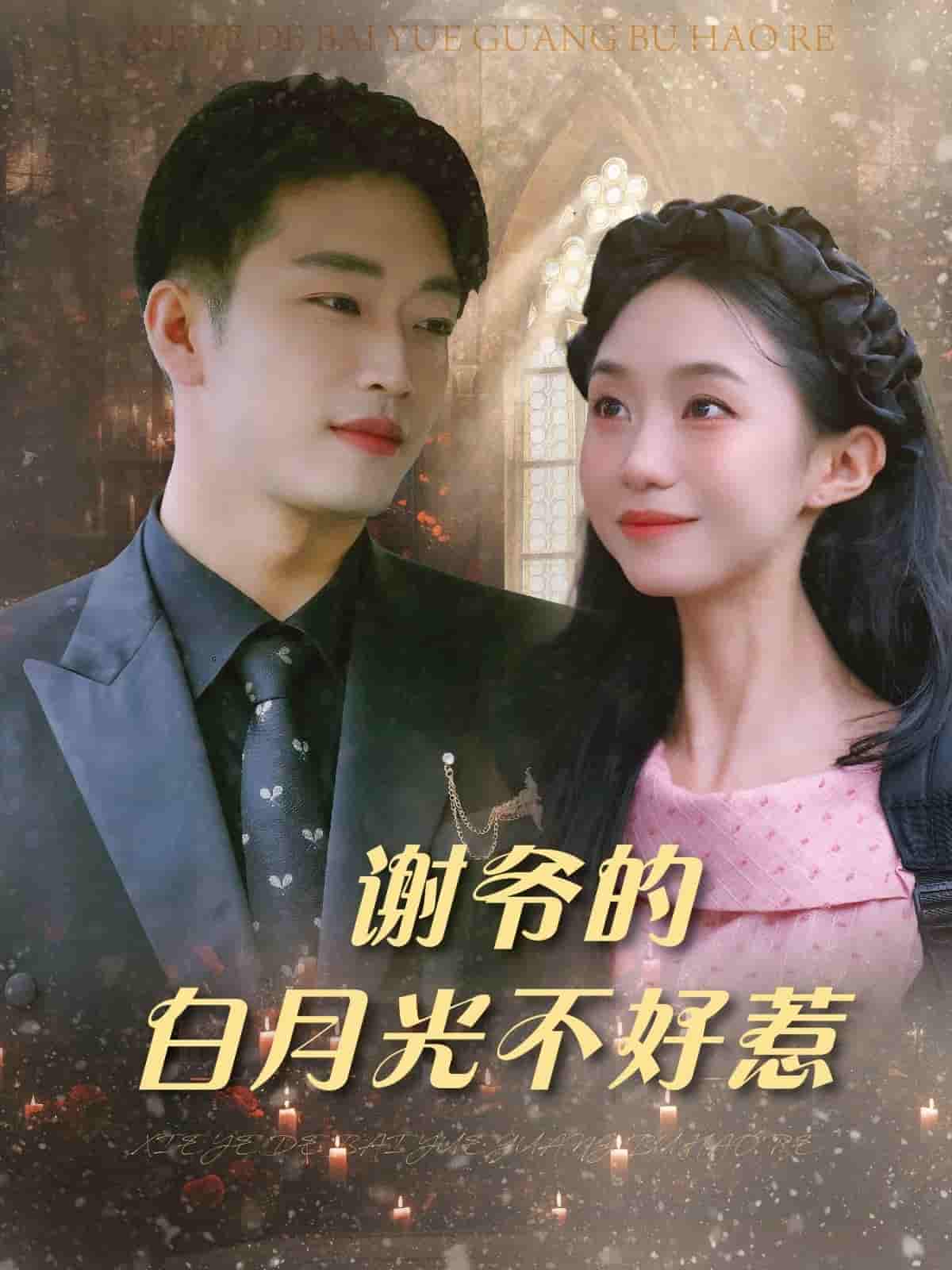 短剧《谢爷的白月光不好惹》 免费高清短剧全集，完整版在线无障碍观看