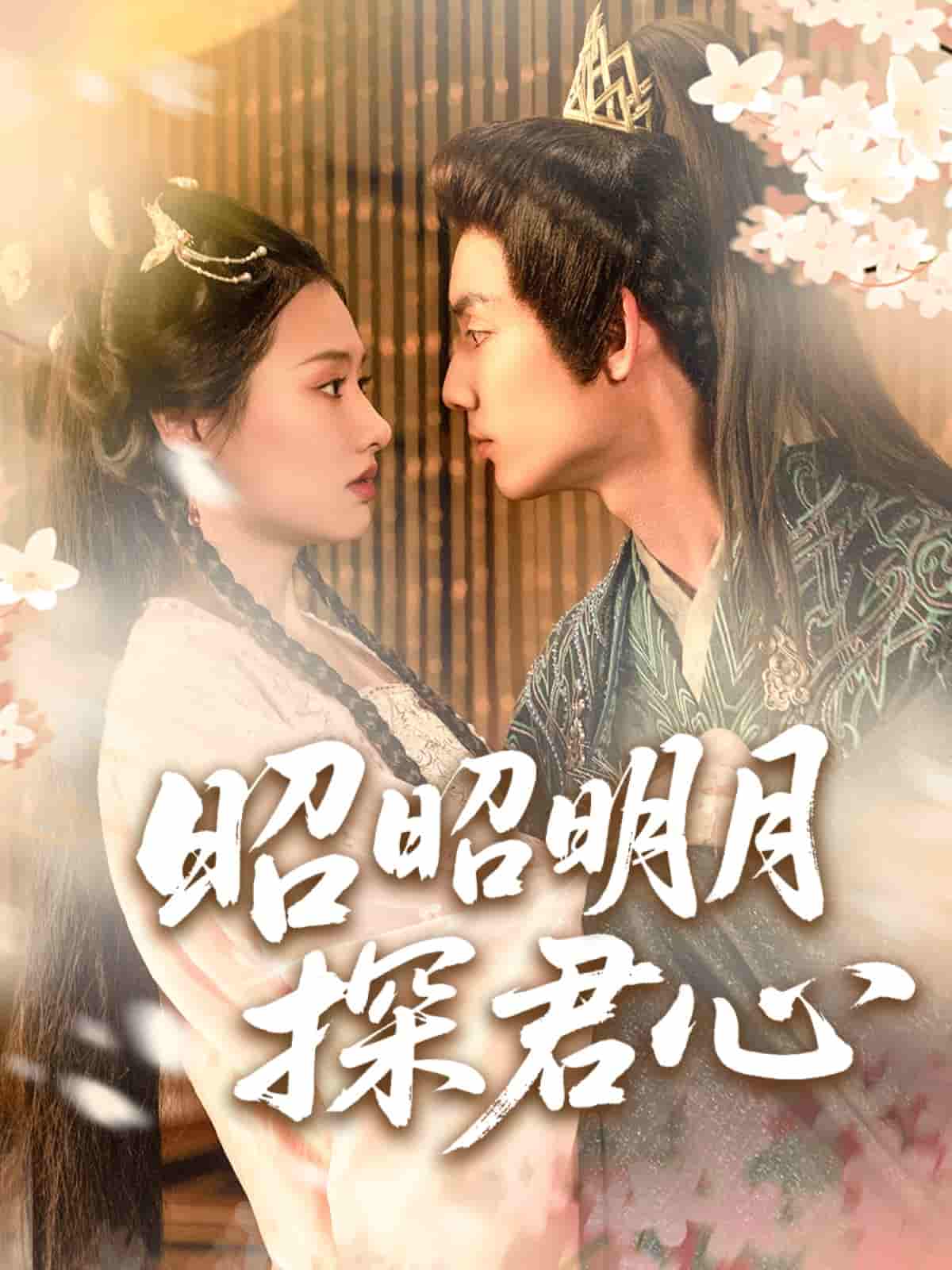 短剧《昭昭明月探君心》 免费观看高清短剧，全集完整版在线自由享