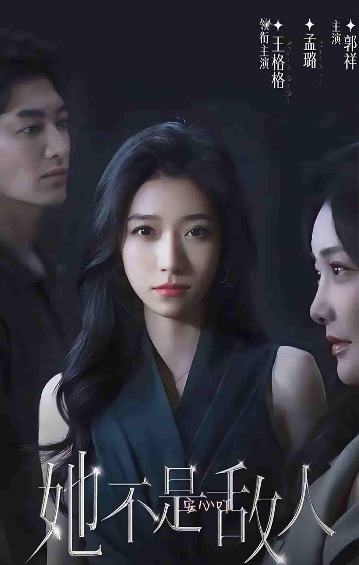 短剧《她不是敌人》 全集免费在线，高清画质，大结局震撼揭晓