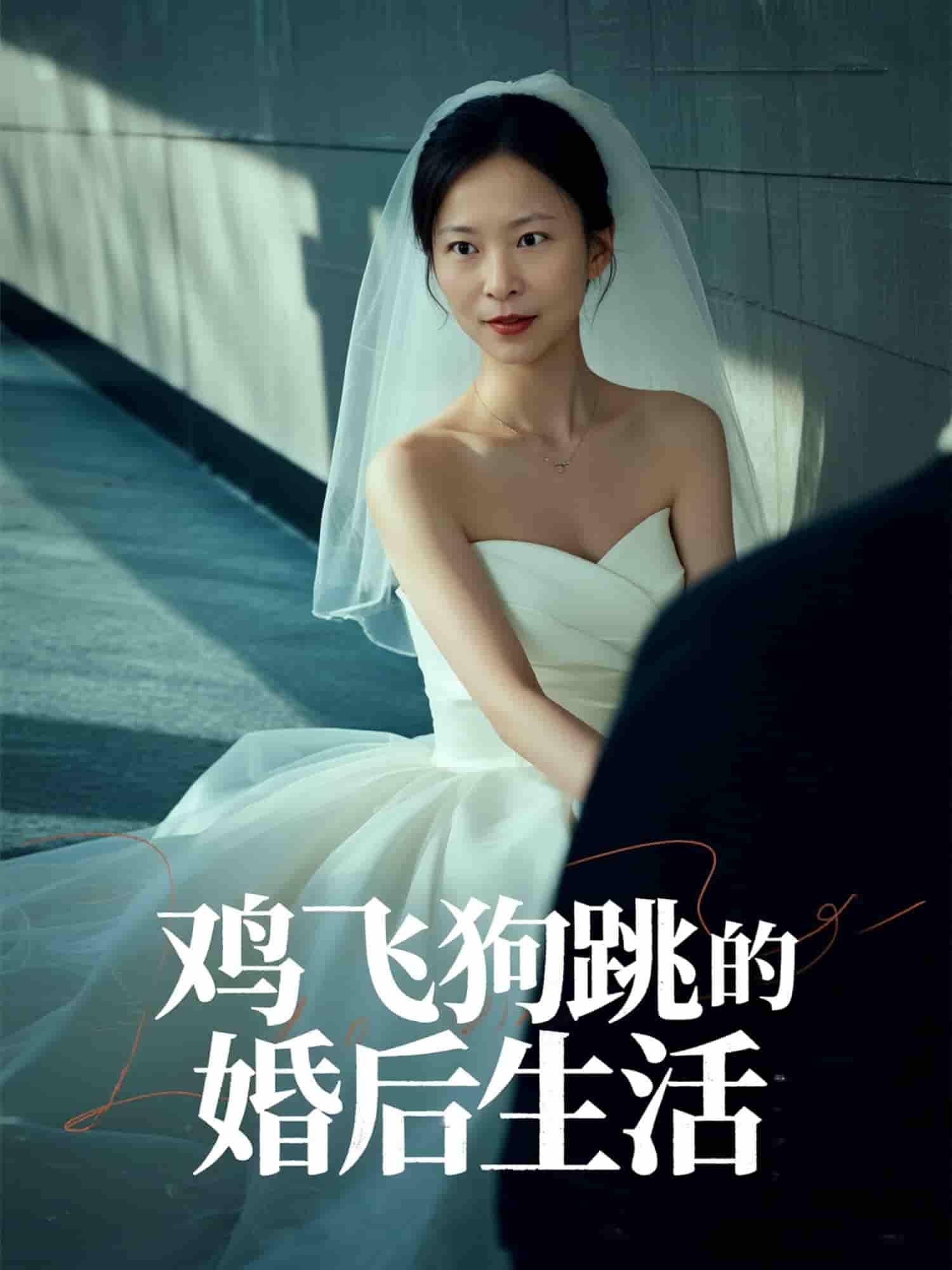 短剧《鸡飞狗跳的婚后生活》 免费观看高清全集，在线播放完整版，大结局已完结！