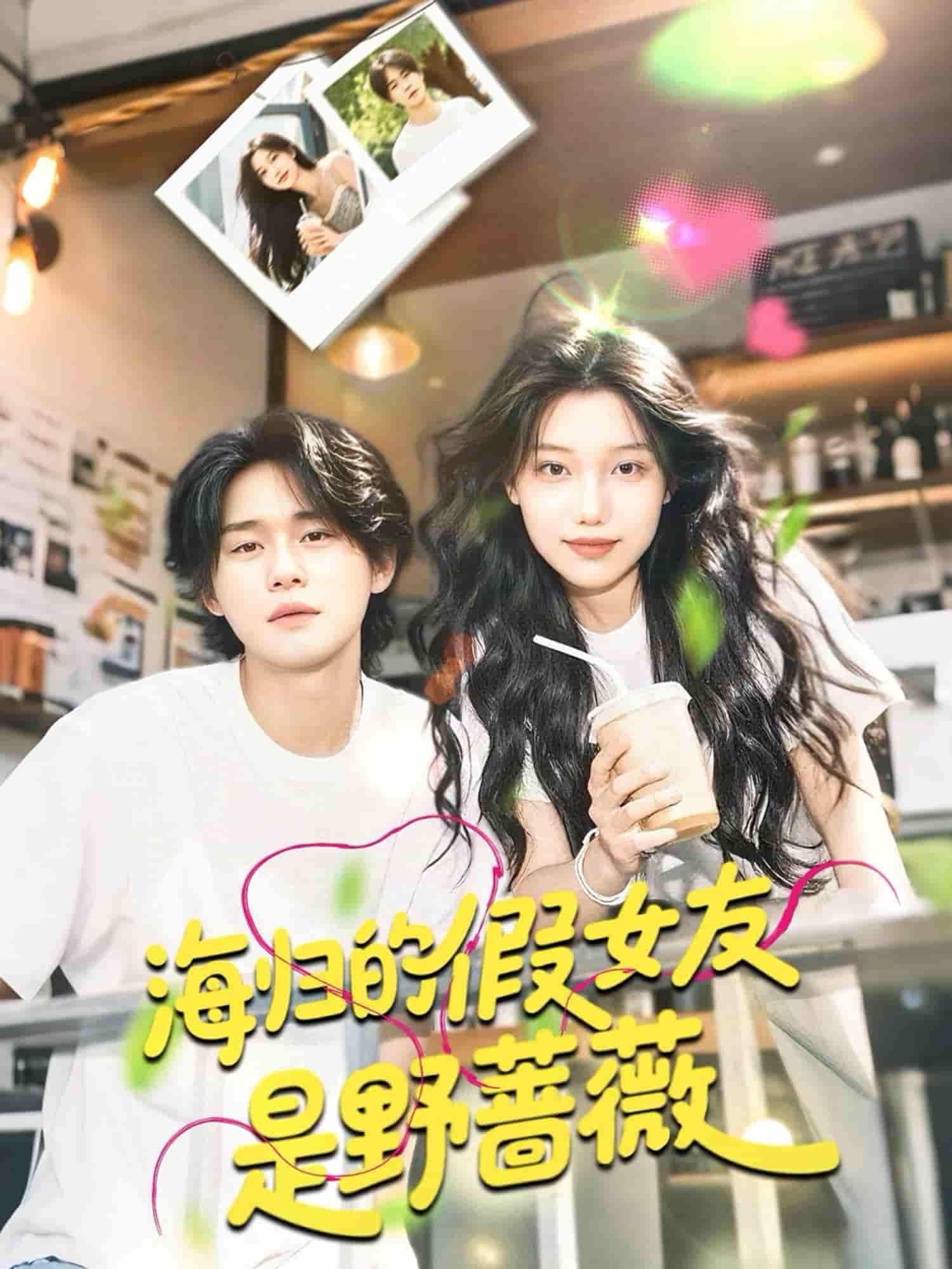 短剧《海归的假女友是野蔷薇＆海归的假女友是奶茶妹》 短剧全集免费看，高清在线播放，大结局震撼！