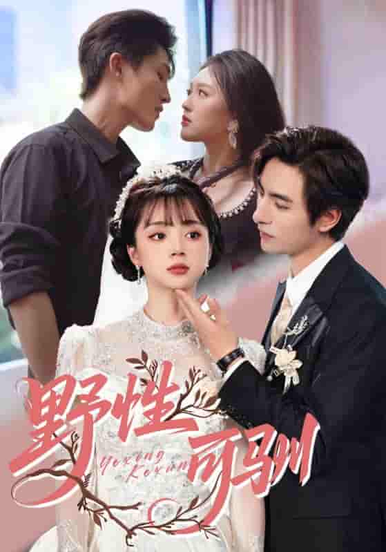 短剧《野性可驯》 高清全集！免费在线观看，大结局已完结