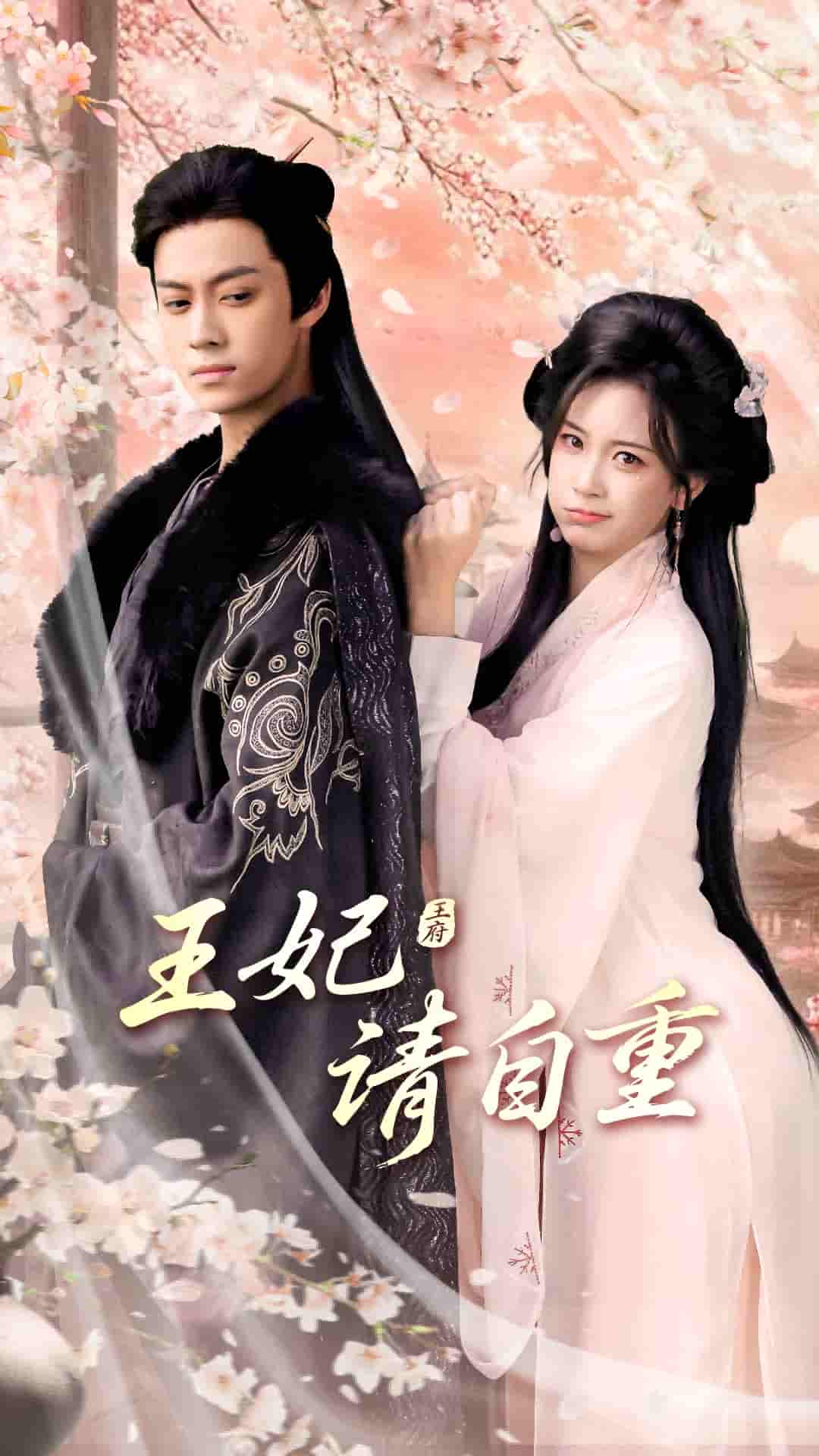 短剧《王妃请自重》 免费观看高清短剧全集，完整版在线无束缚随心享