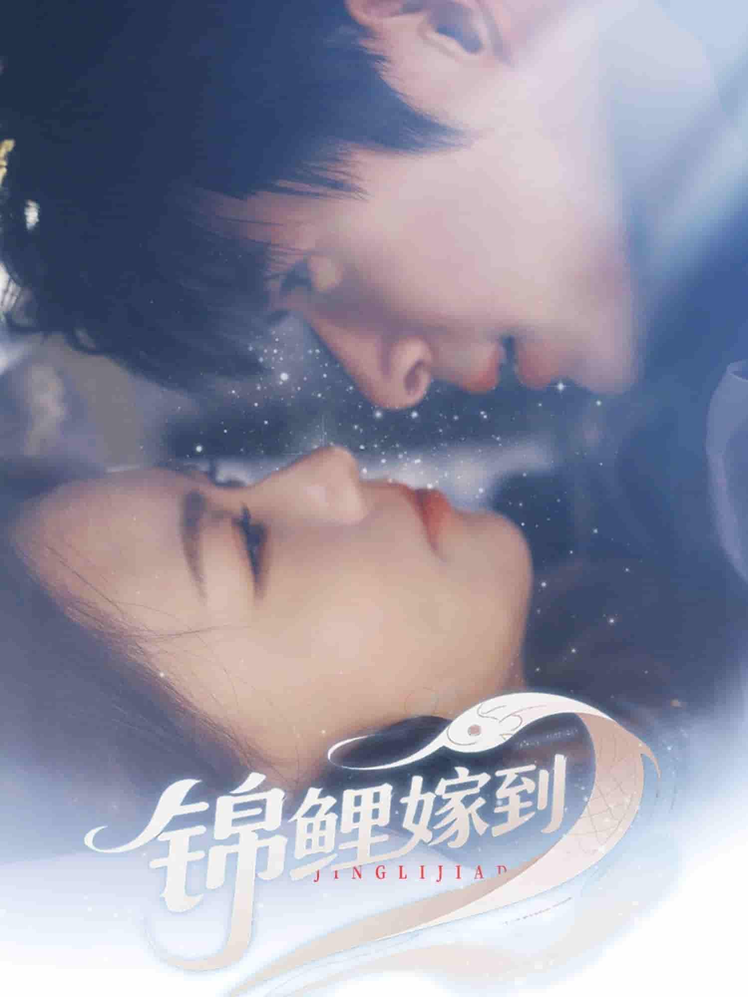 短剧《锦鲤嫁到》 高清短剧全集免费观看，完整版在线无障碍随心