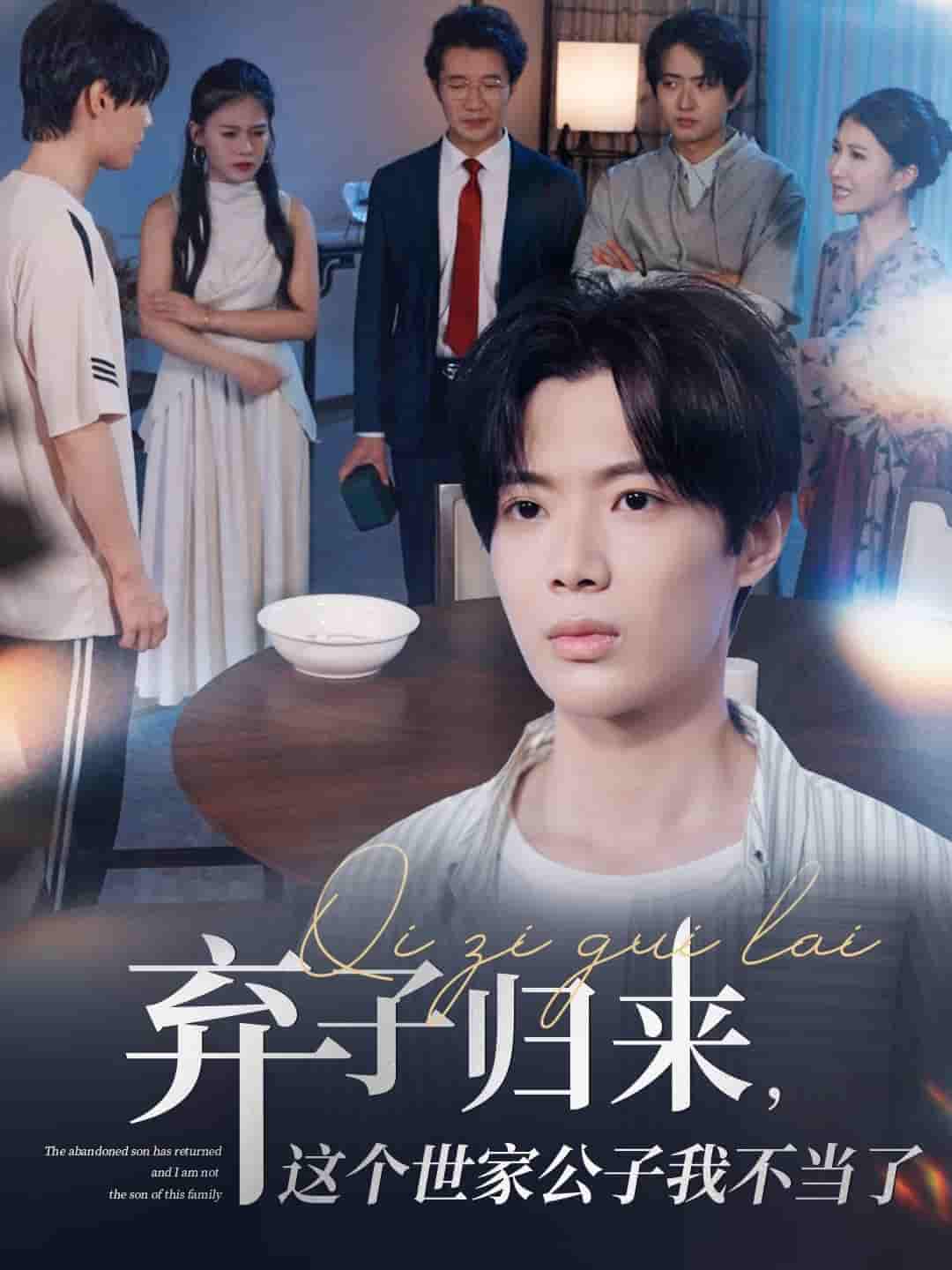 短剧《弃子归来这个世家公子我不当了》 免费高清短剧全集，完整版在线无障碍自由观看