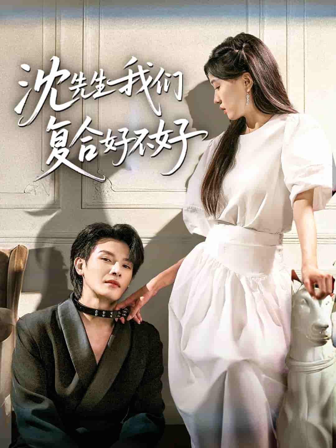 短剧《沈先生我们复合好不好》 免费在线观看高清全集，大结局已完结！