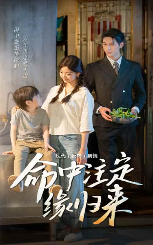 短剧《命中注定缘归来》 全集免费在线，高清画质，大结局震撼揭晓