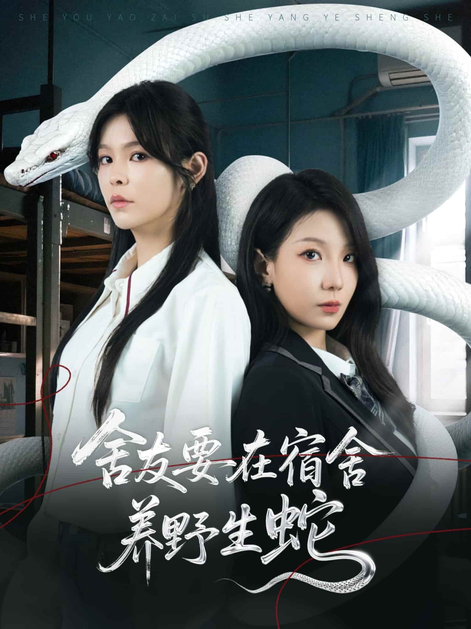 短剧《舍友要在宿舍养野生蛇》 免费高清短剧全集，完整版在线无束缚观看