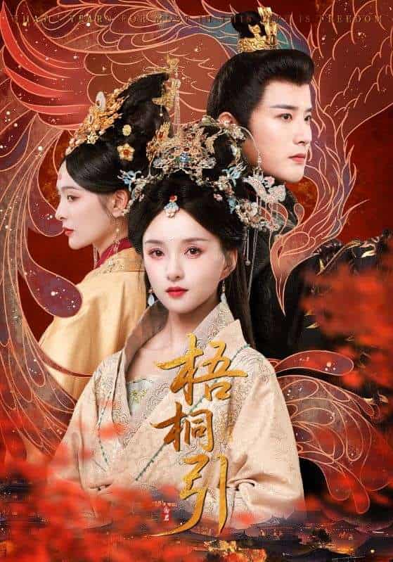 短剧《梧桐引》 短剧全集在线，免费高清观看，大结局震撼来袭！