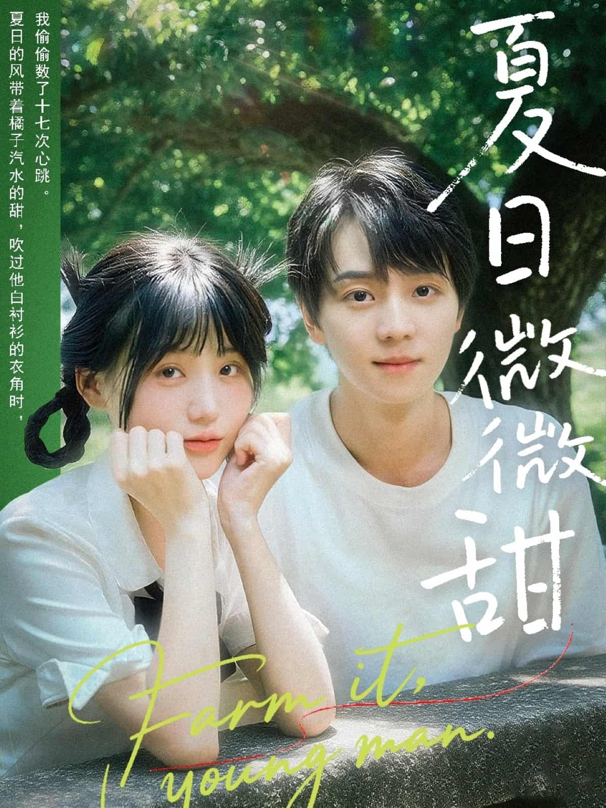 短剧《夏日微微甜》 免费看全集，高清在线播放，完整版大结局已完结！