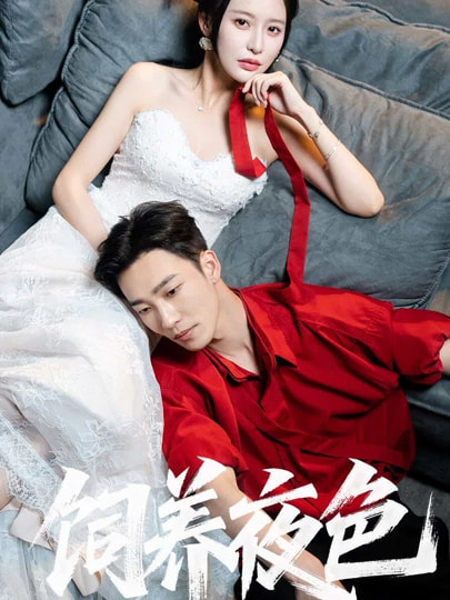 短剧《饲养夜色》 免费观看高清短剧，全集完整版在线无限制享