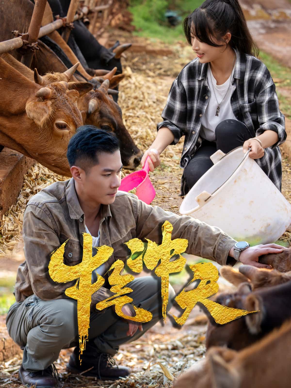 短剧牛气冲天高清全集完整版免费在线看，畅享精彩剧情，随时观看，不容错过！