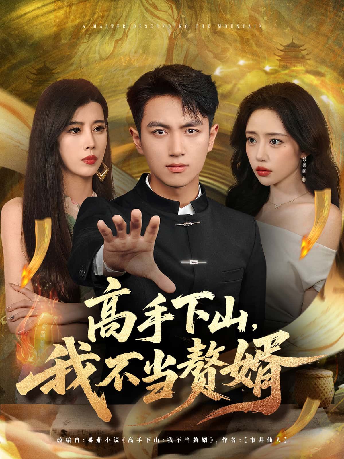 高手下山，我不当赘婿超高清全集完整版，高手下山不当赘婿，在线观看超高清全集完整版。