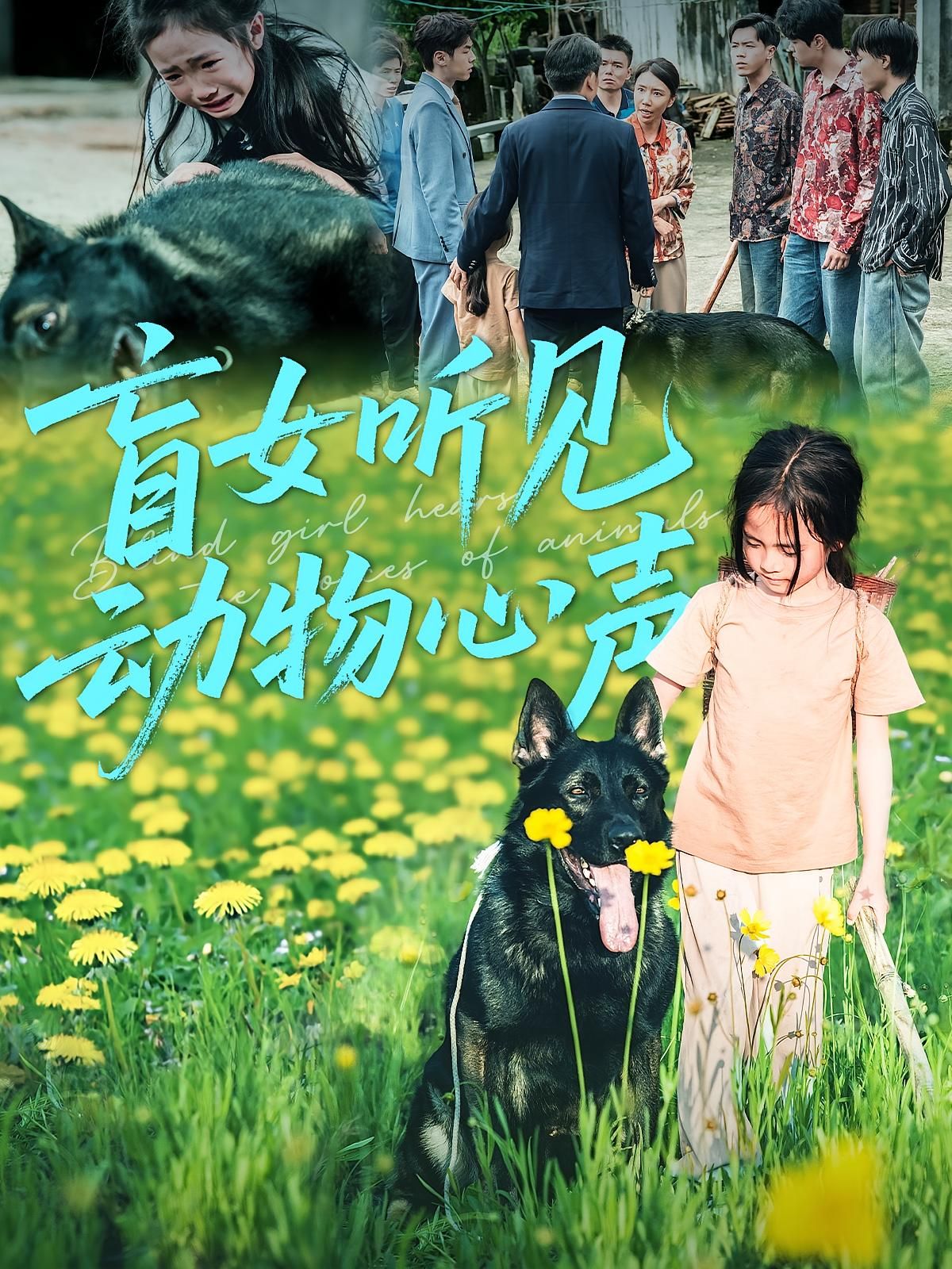 短剧盲女听见动物心声高清无删减全集，在线观看！