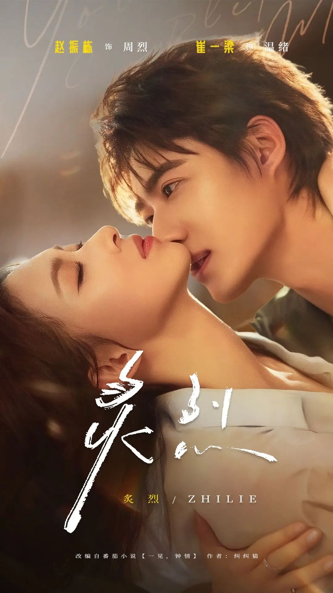 短剧 《炙烈》 HD 超高清完整全集在线播放