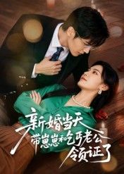 短剧新婚当天带崽崽和乞丐老公领证了在线看，高清全集无删减。