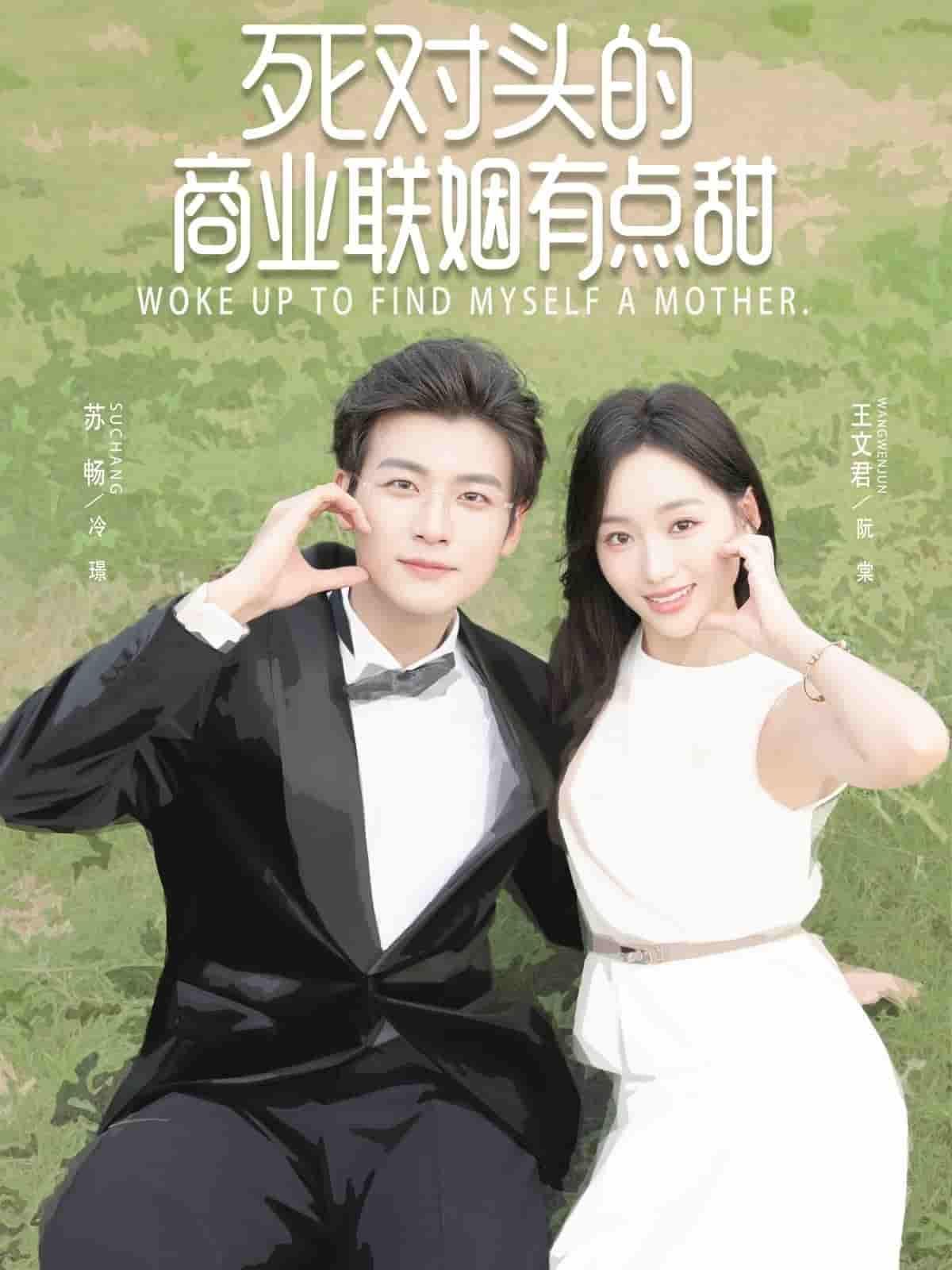 短剧死对头的商业联姻有点甜高清全集无删减版在线播放，死对头商业联姻，甜度爆表！