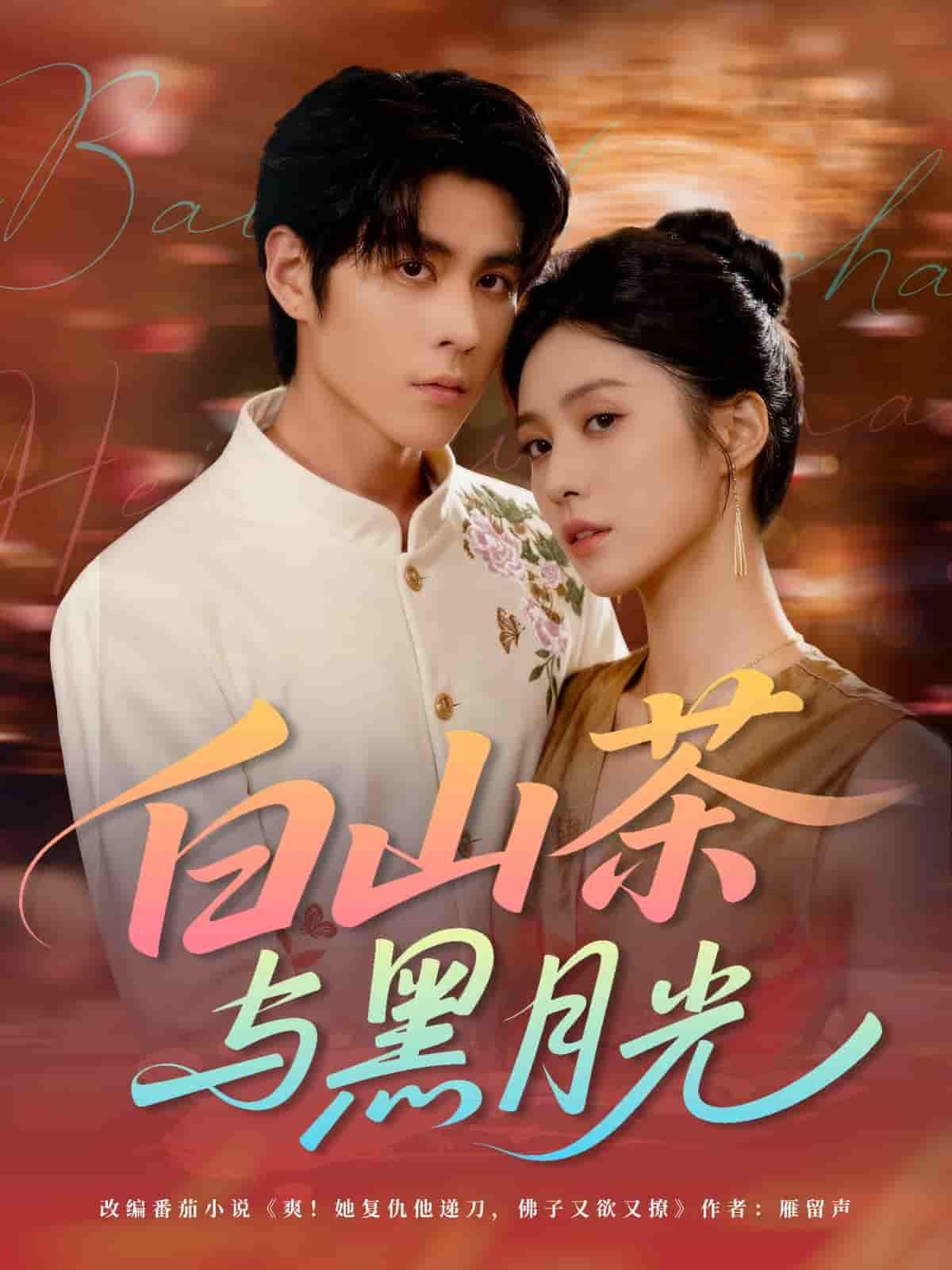 短剧白山茶与黑月光超高清完整全集无删减版在线观看