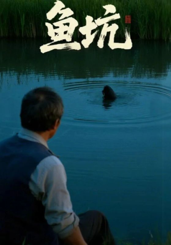 短剧鱼坑HD高清全集无删减版在线播放