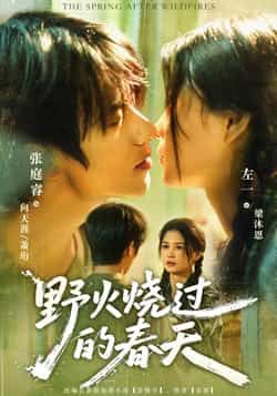 短剧野火烧过的春天HD高清1080P，完整全集在线观看，共16集，免费无删减。