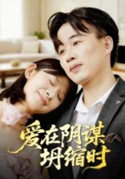 热门短剧《爱在阴谋坍缩时》 全集完整版实时更新免费在线观看播放未删减版资源，短剧百度网盘夸克网盘免费资源分享下载