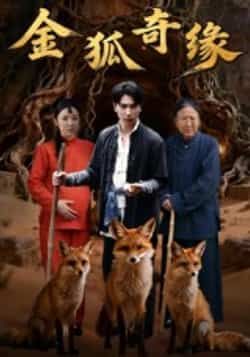 热门短剧《金狐奇缘》 全集完整版免费无水印在线观看播放未删减版资源,短剧百度网盘夸克网盘免费资源分享下载 热门短剧《金狐奇缘》 全集完整版免费无水印在线观看播放未删减版资源,短剧百度网盘夸克网盘免费资源分享下载