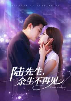 热门短剧陆先生，余生不再见全集高清未删减免费观看，百度夸克网盘资源分享下载。